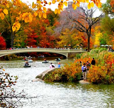 fall colors at Central Park